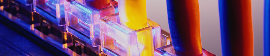 Random header image... Refresh for more!